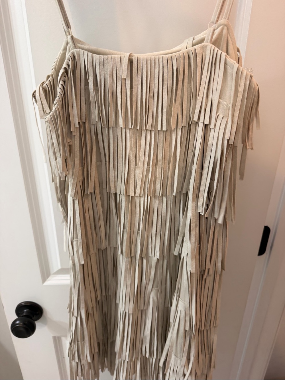 Trixxi Beige Fringe Mini Dress - Picture 2 of 2